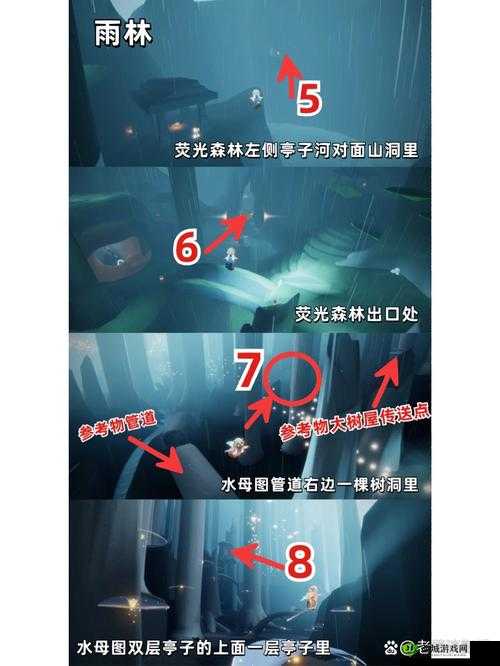 光遇雨林树洞在哪里 进入方法介绍——演变史专题