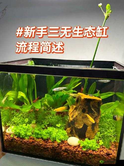 好奇女生开缸是怎样的一番景象?