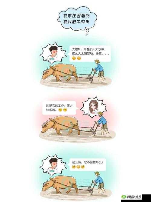 儿耕妈荒废的田,下一句究竟是什么?探寻背后的故事与深意