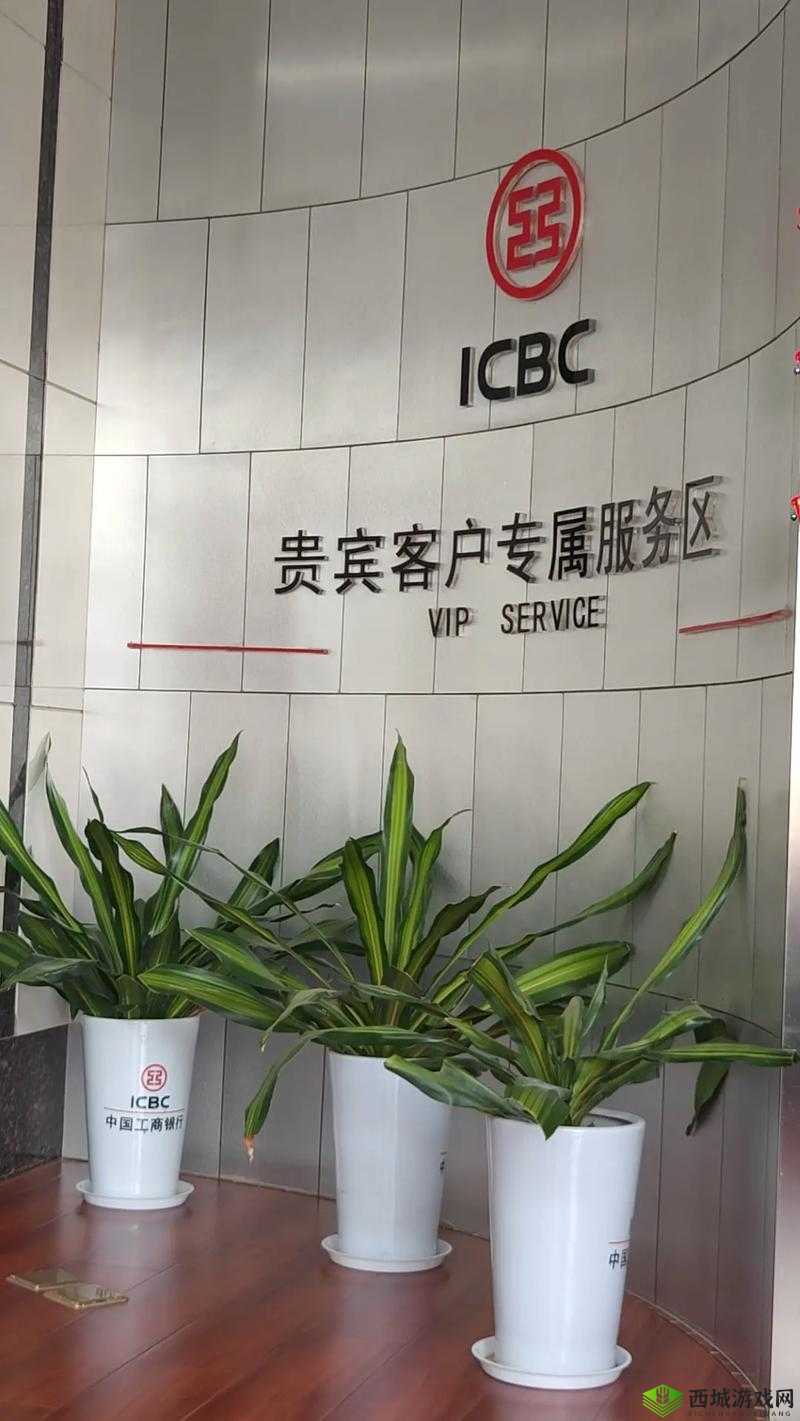 普通用户体验服务区 vip,你真的了解吗?