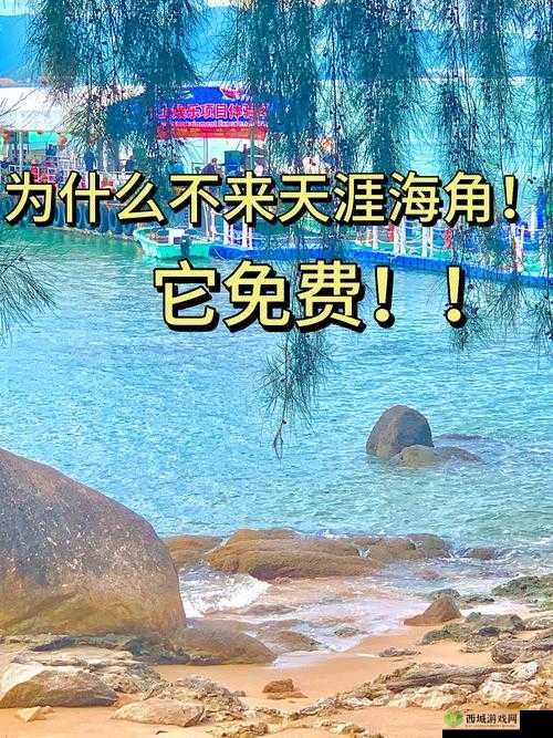 为什么海角 5.0.2 如此受欢迎?它有哪些独特之处?