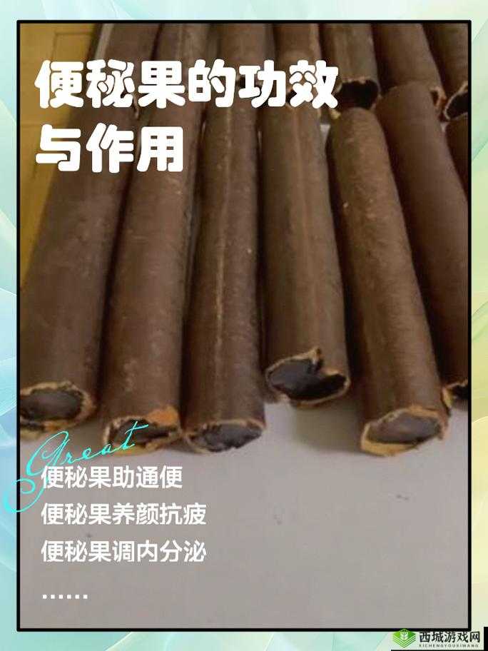 便秘果怎么吃效果最好?便秘果的正确食用方法