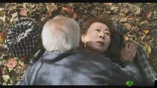 老女人裸体老太婆视频引发热议:探讨老年人隐私与网络伦理的边界