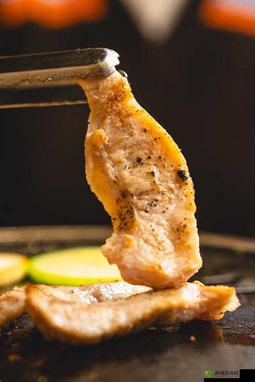 猎手之王烤肉有什么用,烤肉的作用与使用方式