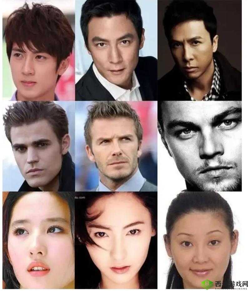 为什么欧洲人和亚洲人的面部特征有明显区别?