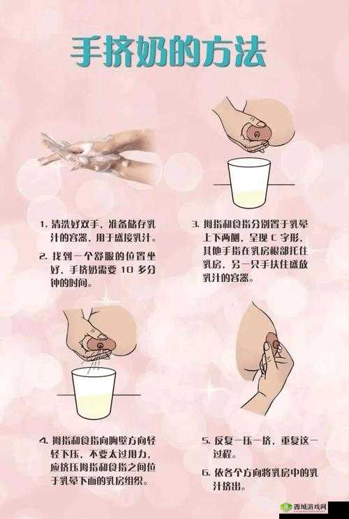 如何解开奶罩并正确吸吮奶头?