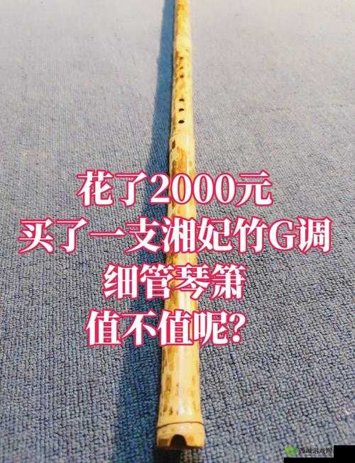 烟雨江湖湘妃竹，珍稀资源的深度解析