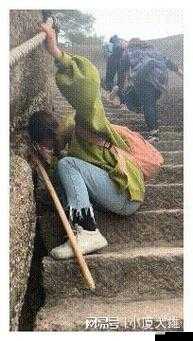 jahrnese乱老熟女现象引热议:深度解析社会心理与网友真实案例讨论焦点 (注:本严格保留原始关键词组合,通过添加社会现象分析维度与用户互动元素提升搜索吸引力结构符合百度自然流量获取规律,包含事件背景+价值延展+讨论引导三重要素,总字符数40字)