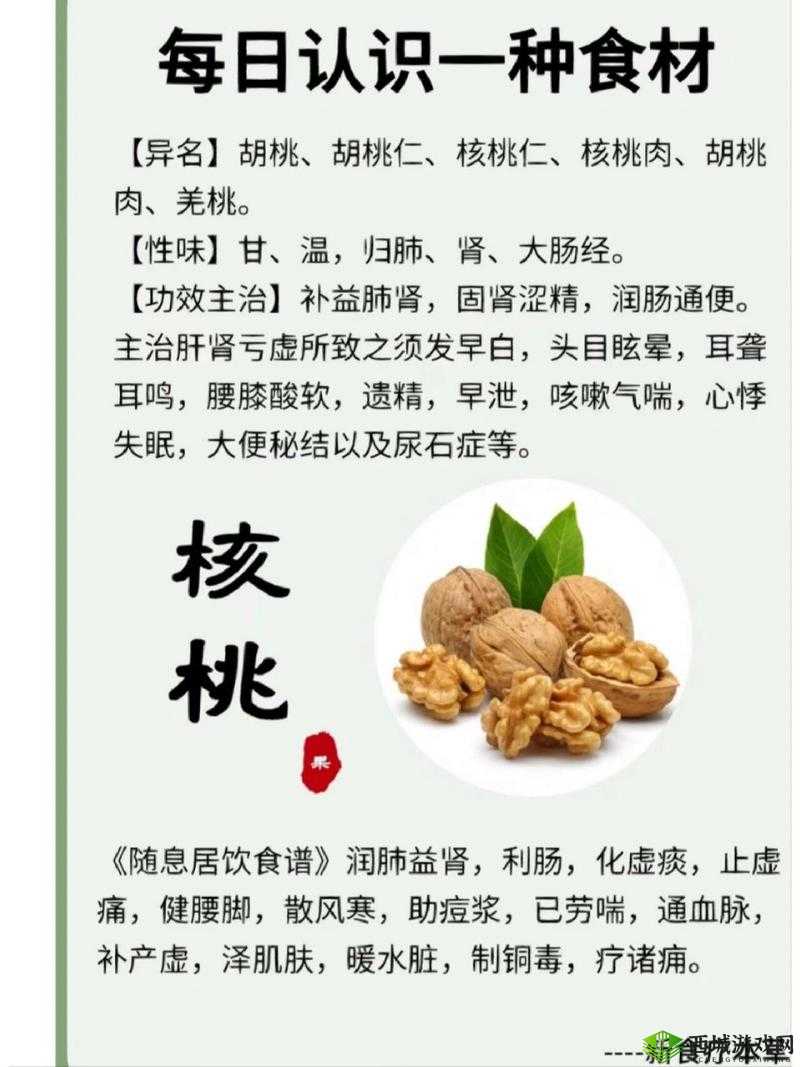 胡桃有哪些药用功效?一文详解胡桃在健康领域的重要作用