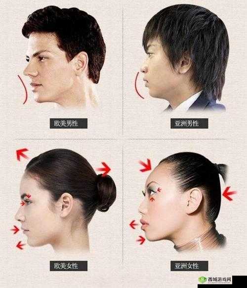 亚洲脸和欧洲脸有何不同?亚洲人和欧洲人外貌特征大揭秘