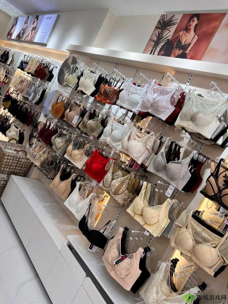 内衣柜工作室第二集精彩呈现,究竟有哪些亮点内容值得深入探索?