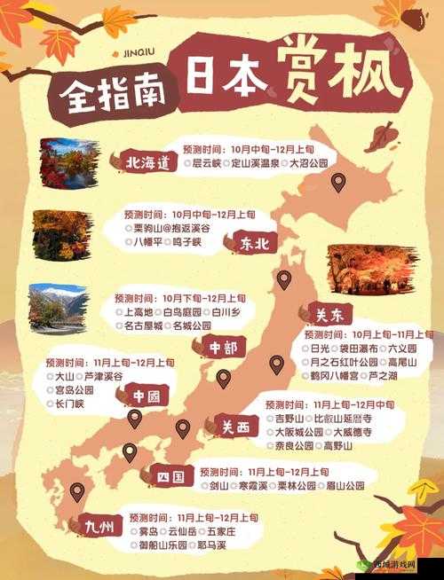 2024 年日本人文艺术欣赏有哪些独特之处?如何深入领略其魅力?