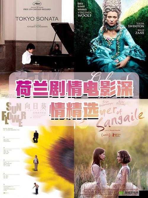 荷兰新婚之夜何时播出？最新播出时间及精彩看点全解析