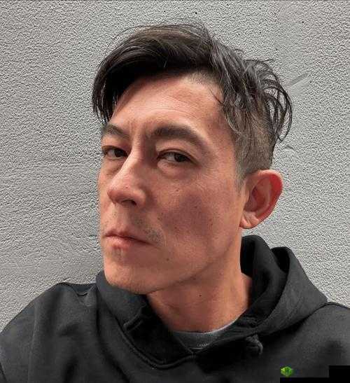 陈冠希是不是那方面特别强?揭秘他的真实魅力与影响力