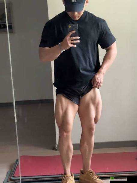 今世猛男都有哪些?快来看看这份今世猛男推荐清单,绝对精彩