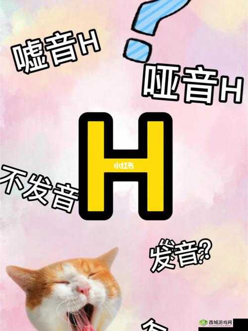 北yin h是什么?带你深入了解北yin h的含义、特点与相关信息