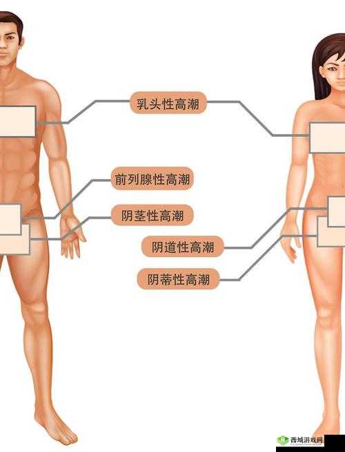 国产人妖前列腺高潮激情:探秘神秘的性技巧与性体验