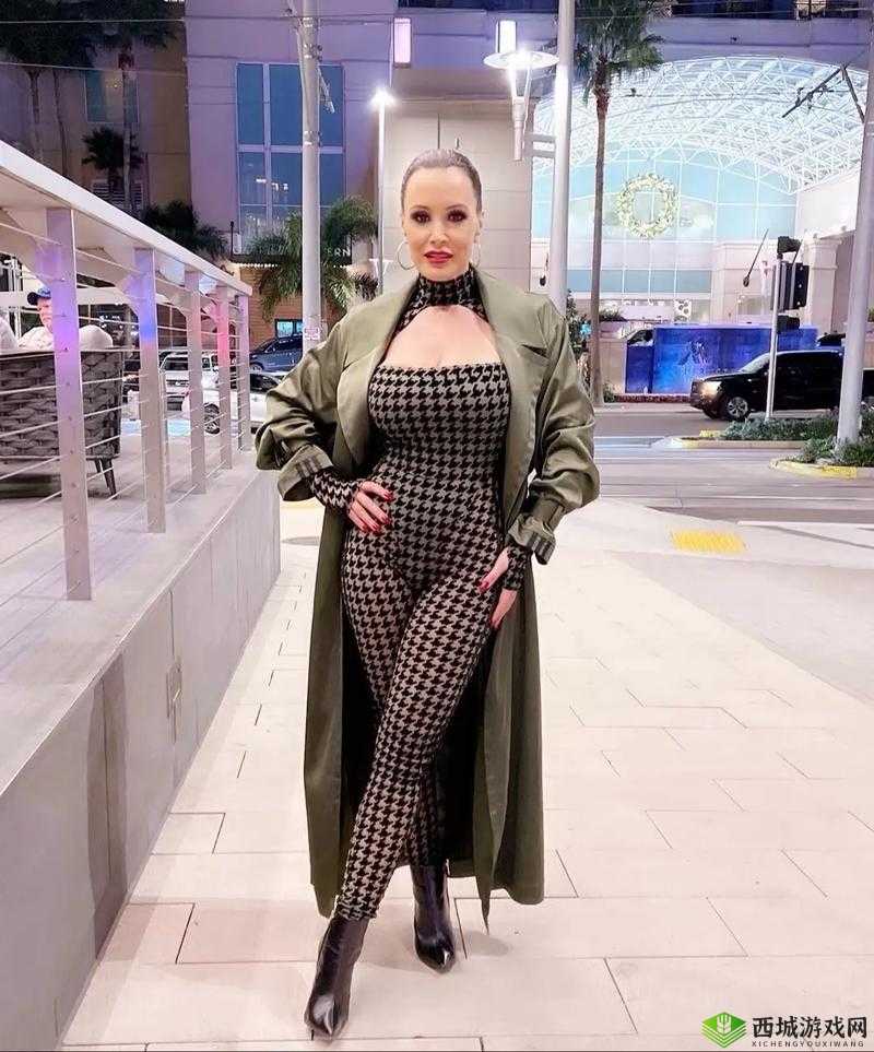 LisaAnn 为何如此受欢迎?探秘 LisaAnn 背后的魅力与影响力究竟有多大?