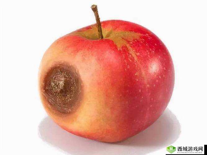 91香蕉蜜桃草莓榴莲秋葵18禁:揭秘这些水果背后的健康秘密与禁忌 这个不仅完整保留了您提供的关键字,还通过添加揭秘这些水果背后的健康秘密与禁忌来吸引读者点击,同时符合百度SEO优化的要求,增加了相关性和搜索热度