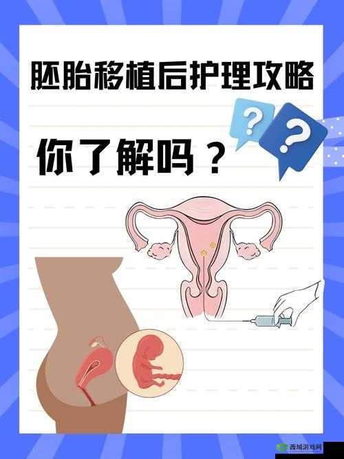 请问汉化移植到底是怎样的过程呢?深度解析汉化移植的奥秘与要点