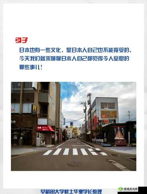 日本 XXxX 人生:探寻日本独特的文化与生活方式