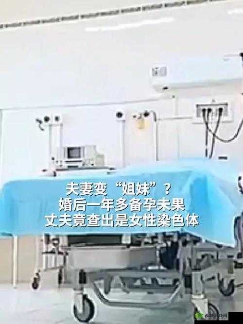 两个老婆为何能成为好姐妹?她们是如何做到的?