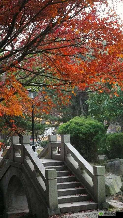 揭秘你有问题第43关，浪漫之秋关卡全攻略