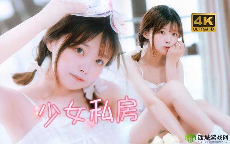 少女视频哔哩哔哩观看第四集,这是什么操作?