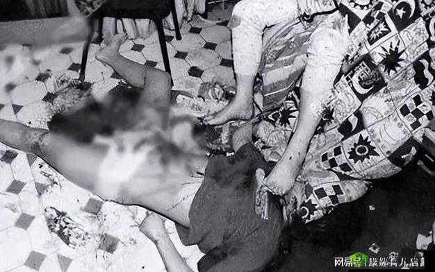 分尸gore案件细节曝光:凶手手法残忍,警方全面调查取证中