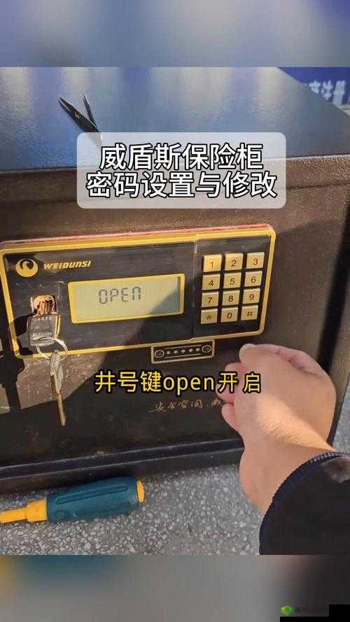 秘馆疑踪保险箱密码是多少，保险柜密码介绍在资源管理中的重要性及高效管理技巧