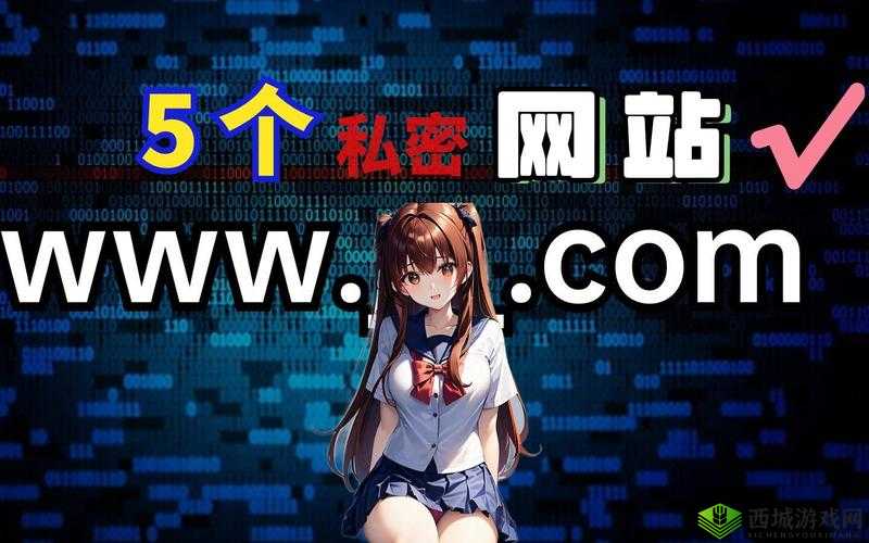 探秘秘密网站地址，究竟隐藏着怎样不为人知的秘密？快来一探究竟