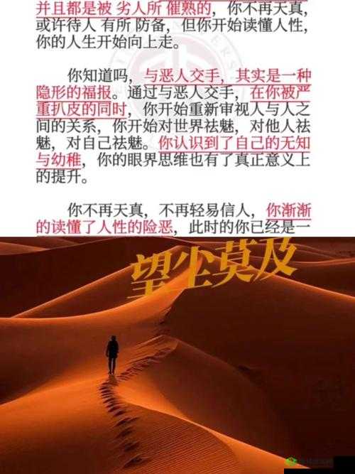 大但人文 limited 资源为何如此稀缺？探寻背后的神秘力量