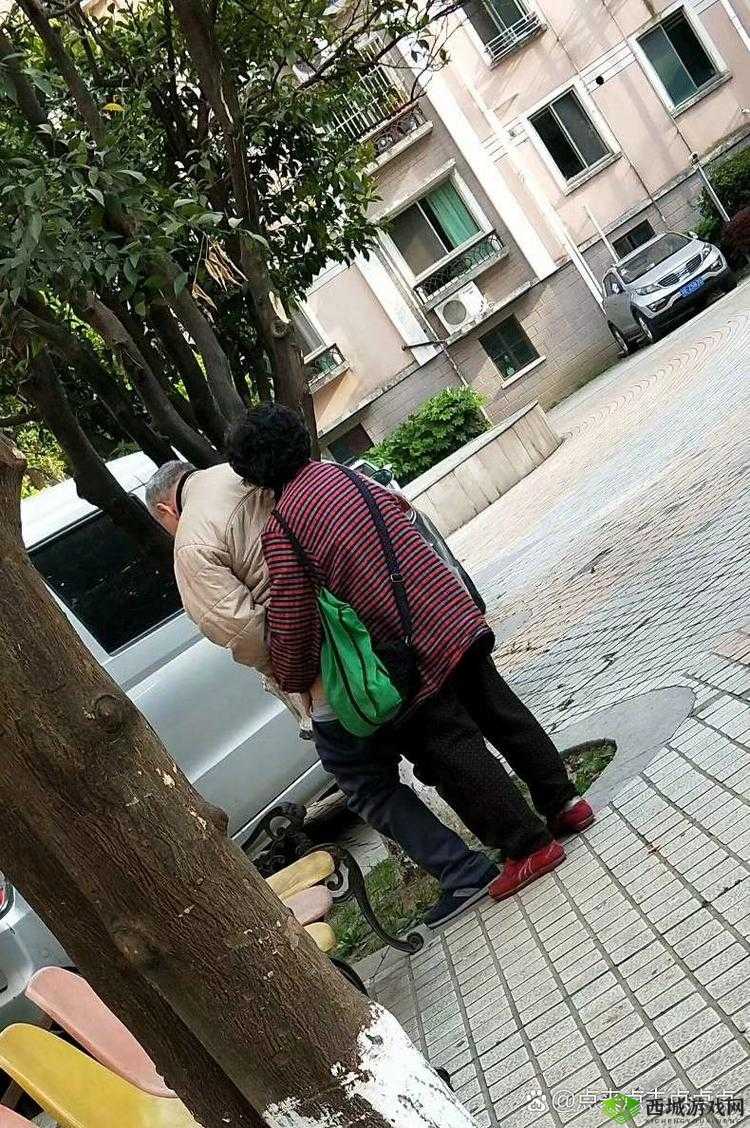 老头蹲厕系列 3 视频为何如此引人关注?其背后有何独特魅力与故事?