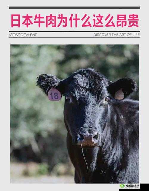 请问日牛的正确的到底是什么？深度剖析日牛的正确含义及相关内容