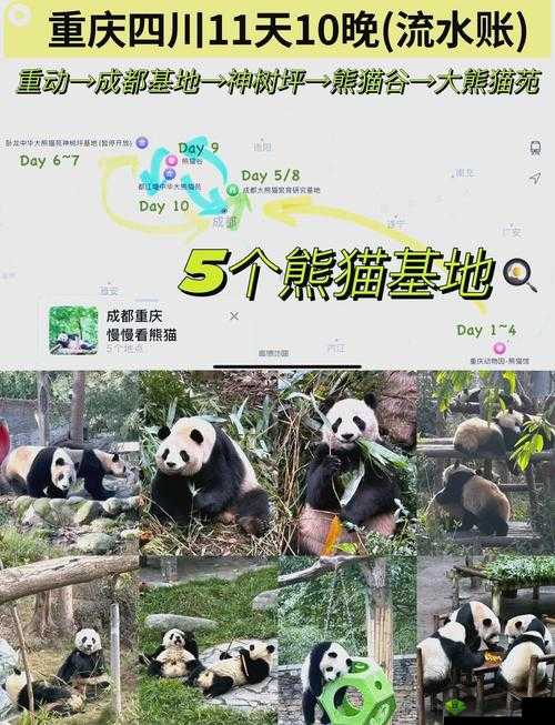 熊猫永不为奴,再见饲养员第十一关攻略详解