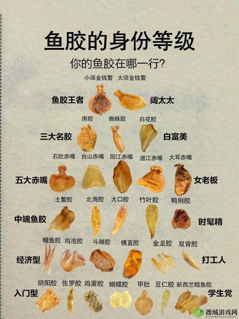 免费观看下载动物胶配方大全高清版:全面解析各类动物胶制作与应用技巧