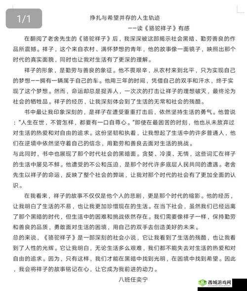 柔佳素云文枫阅读心得分享:深度解析与情感共鸣的文学之旅