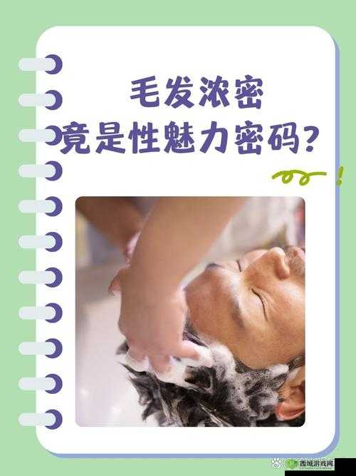 探索欧美浓毛hairypics的独特魅力：揭秘浓密毛发的时尚趋势与护理秘诀