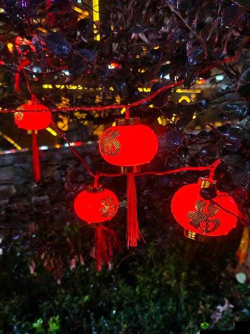 春节期间那道让我难以忘怀的美景究竟是什么?快来一探究竟