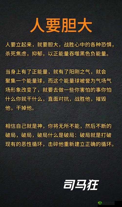 大胆人文艺究竟是什么?为何它能引发如此多的关注与讨论?