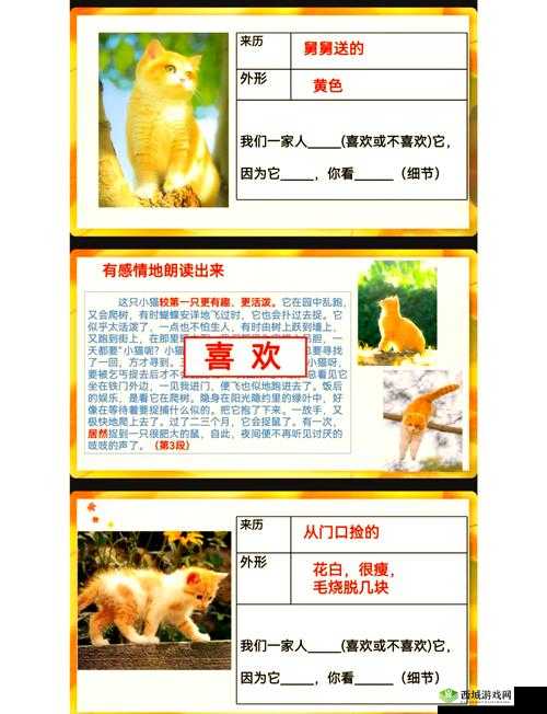 猫语咖啡探长怎么样，技能介绍与攻略演变史