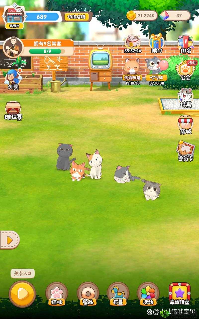 猫语咖啡爪爪怎么样？技能介绍与全面攻略