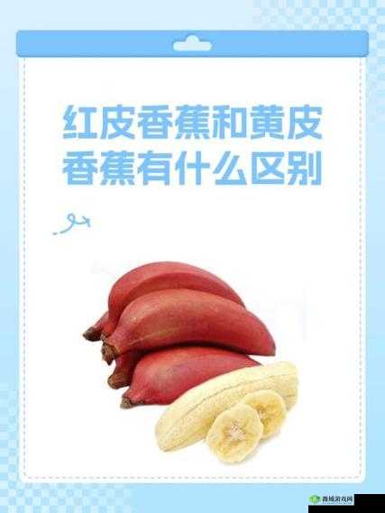 香蕉APP是什么?它有哪些独特功能和优势?快来一探究竟