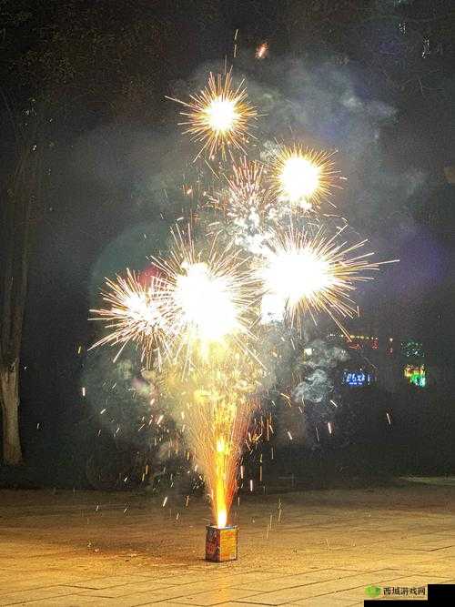 体育生烟花视频大全有哪些精彩内容?快来一探究竟