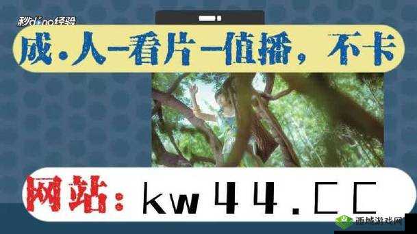 5g天天看天天爽最新更新:高清流畅体验,尽享极速网络带来的视听盛宴