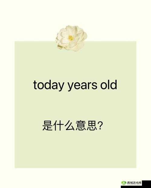 years old 是什么意思?带你了解它的用法和常见搭配