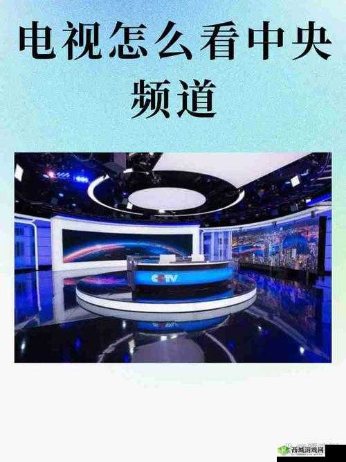 如何在中央台和地方卫视台下载节目?有哪些注意事项?