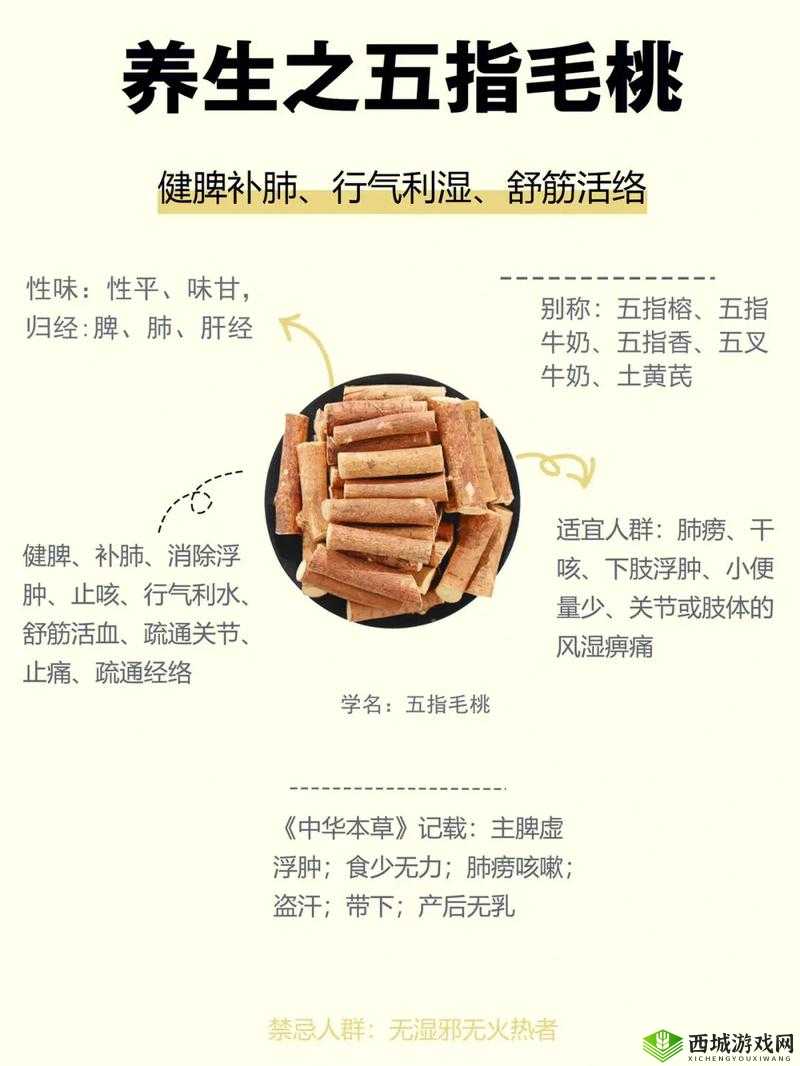 五指毛桃对男人究竟有哪些功效与作用?一文详解男人必知的五指毛桃好处