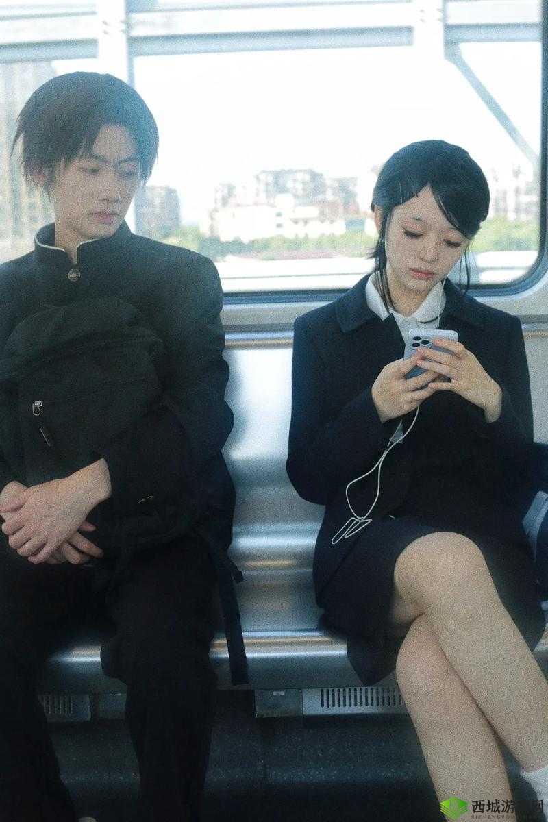 国内精品视频在线观看,你需要知道的一切