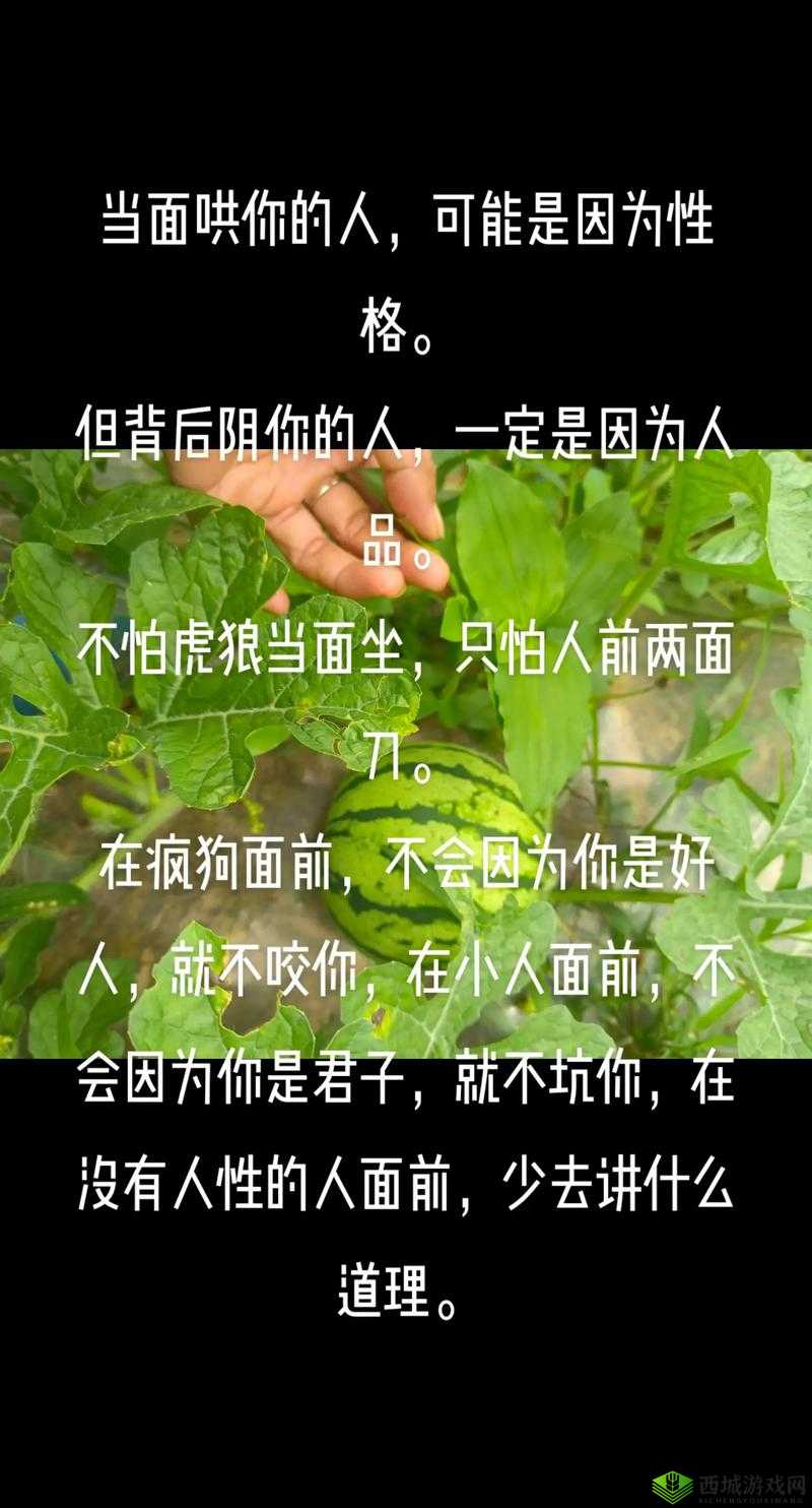 为什么你总是伤我最深?探寻背后的原因和解决之道